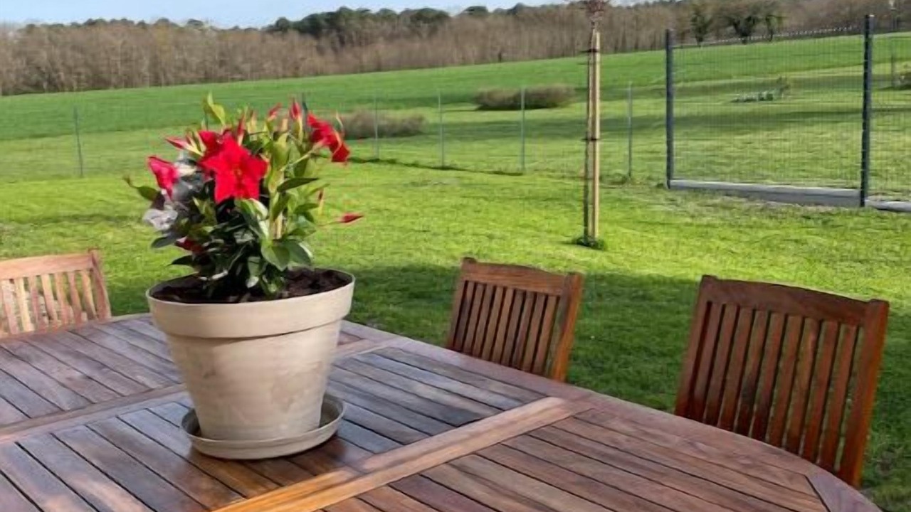 Photo of Outdoor in Civray-de-Touraine