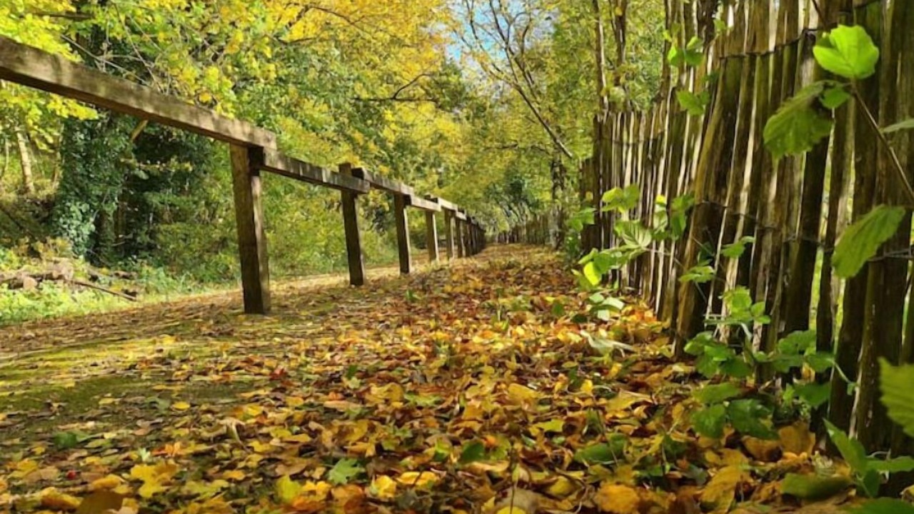 Photo of Outdoor in Elnes