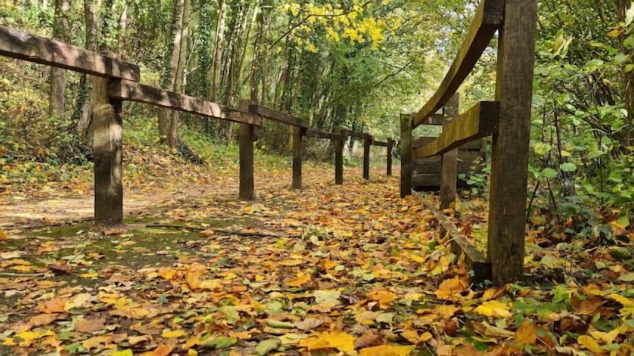 Photo of Others in Elnes