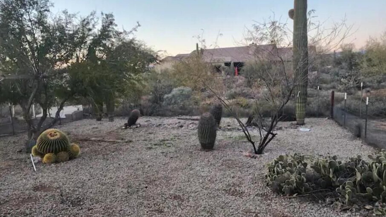 Photo of Outdoor in Pinnacle Peak