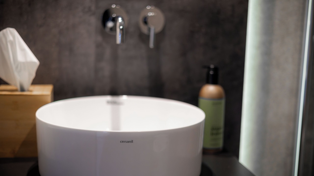 Photo of Bathroom in Swan Lake