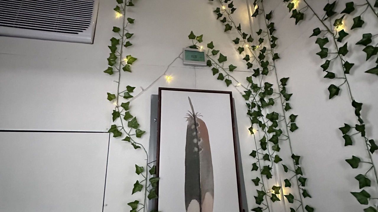 Photo of Others in Burr Ridge