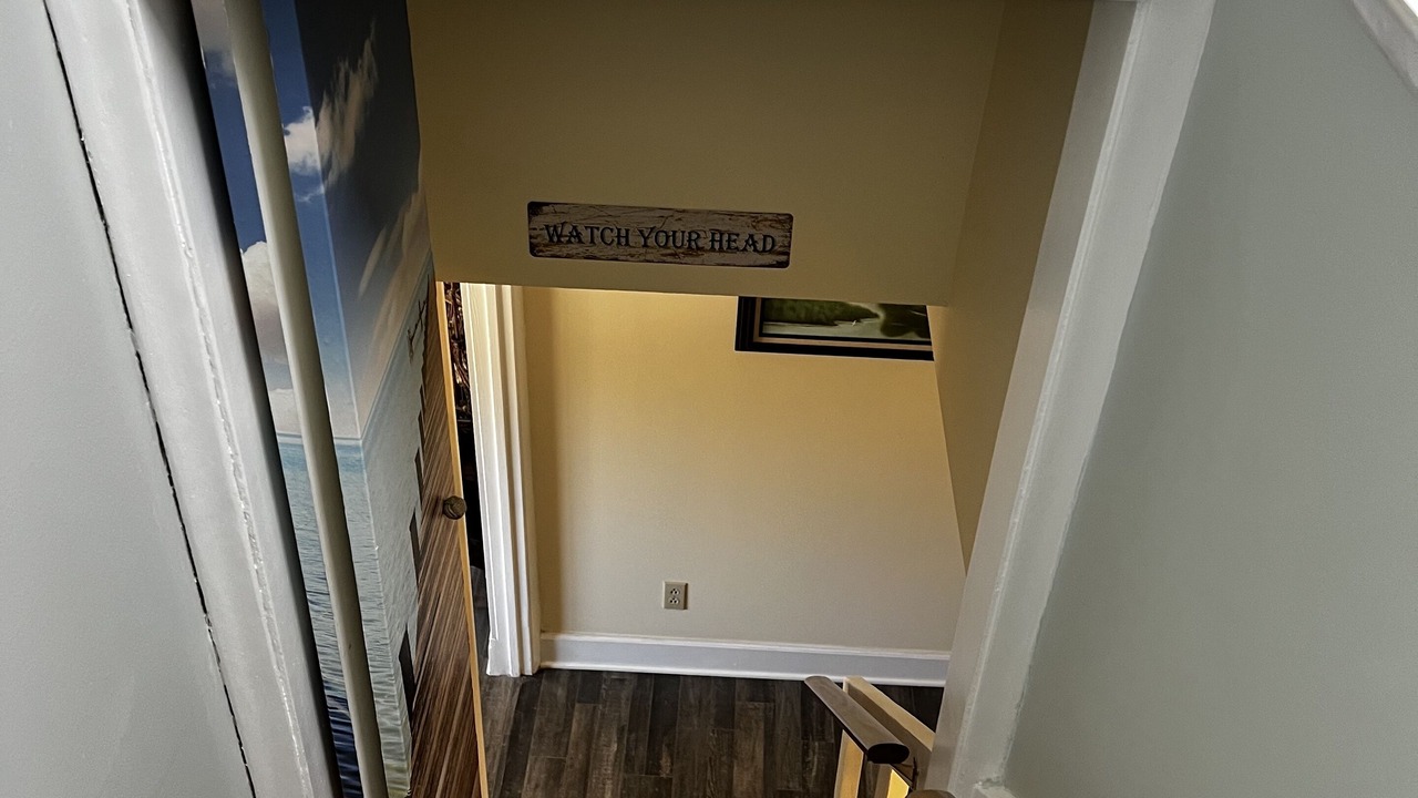 Photo of Others in Shellman Bluff