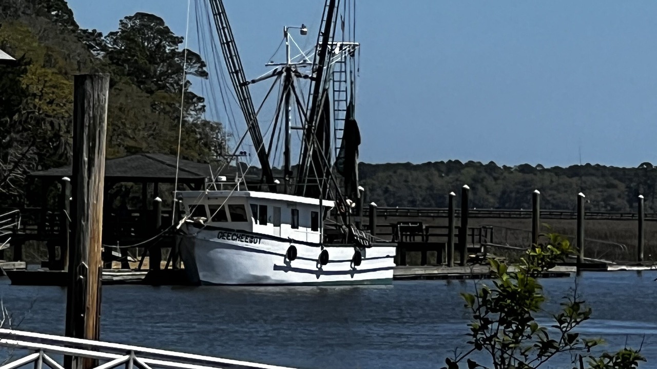 Photo of Others in Shellman Bluff