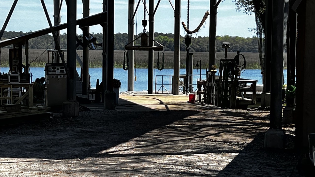 Photo of Outdoor in Shellman Bluff