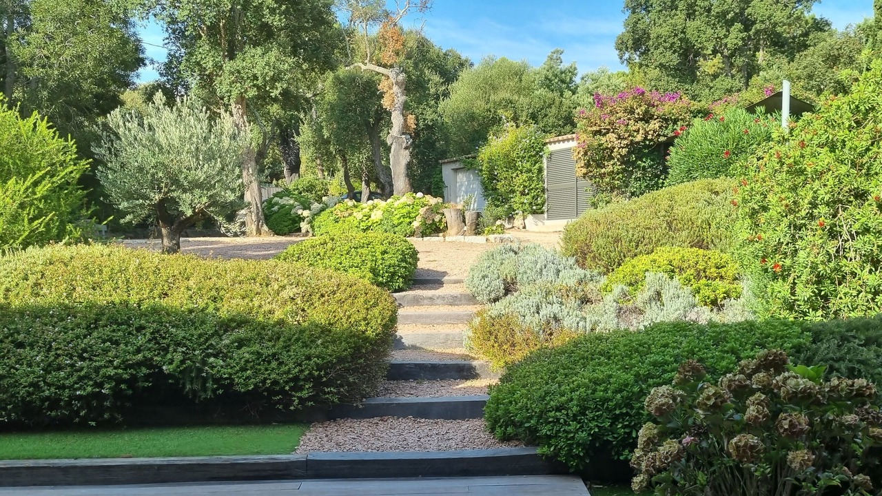 Photo of Outdoor in Porto-Vecchio