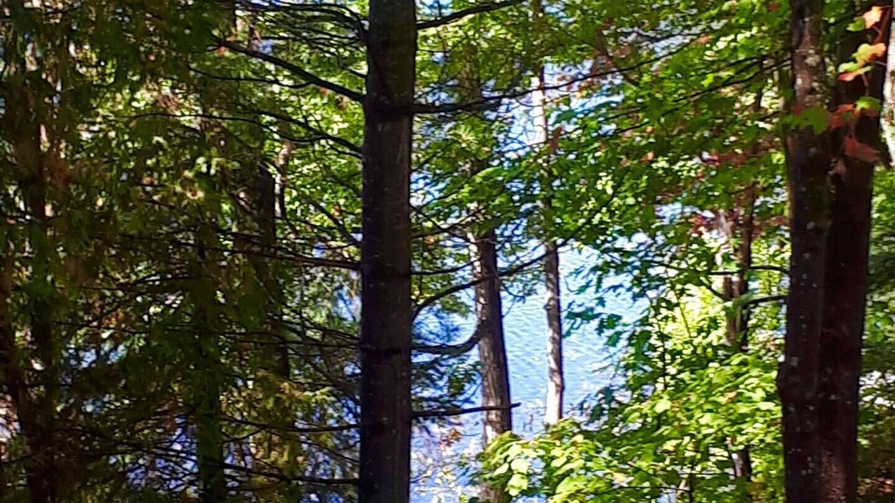 Photo of Outdoor in Saint-Andre-Avellin