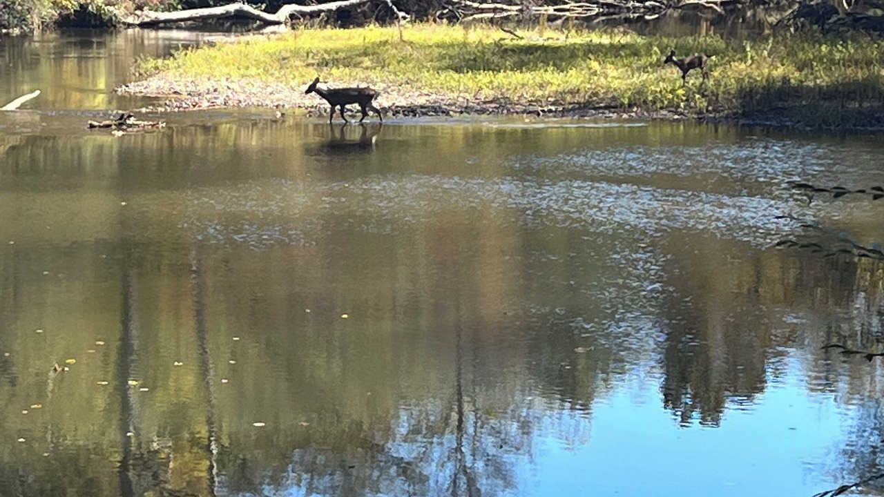 Photo of Outdoor in Cisco