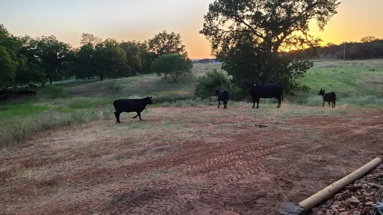 Photo of Outdoor in Mineral Wells