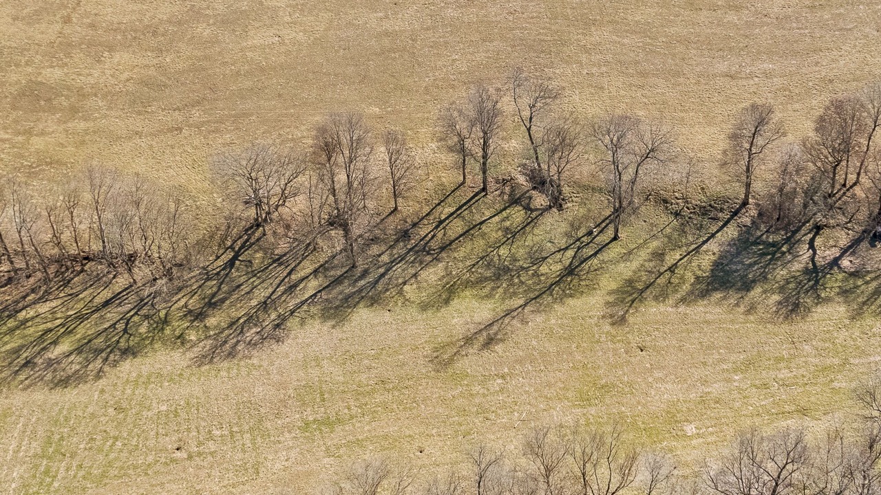 Photo of Outdoor in Huntsville