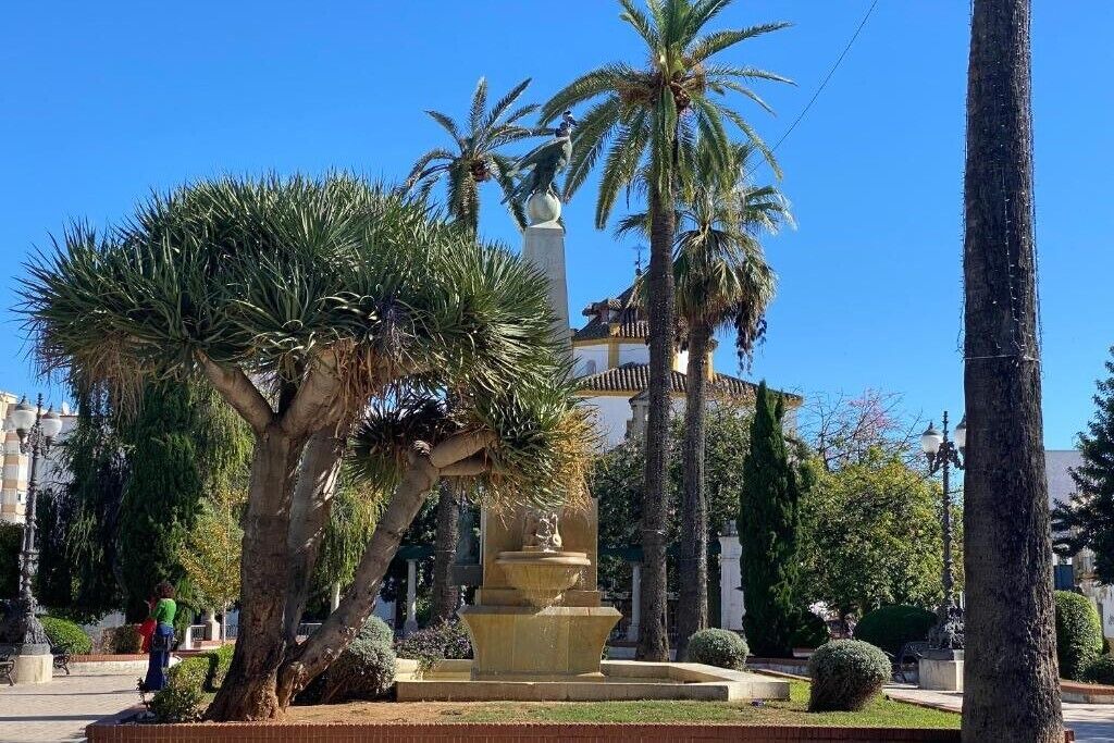 Photo of Outdoor in Jerez de la Frontera Old Town