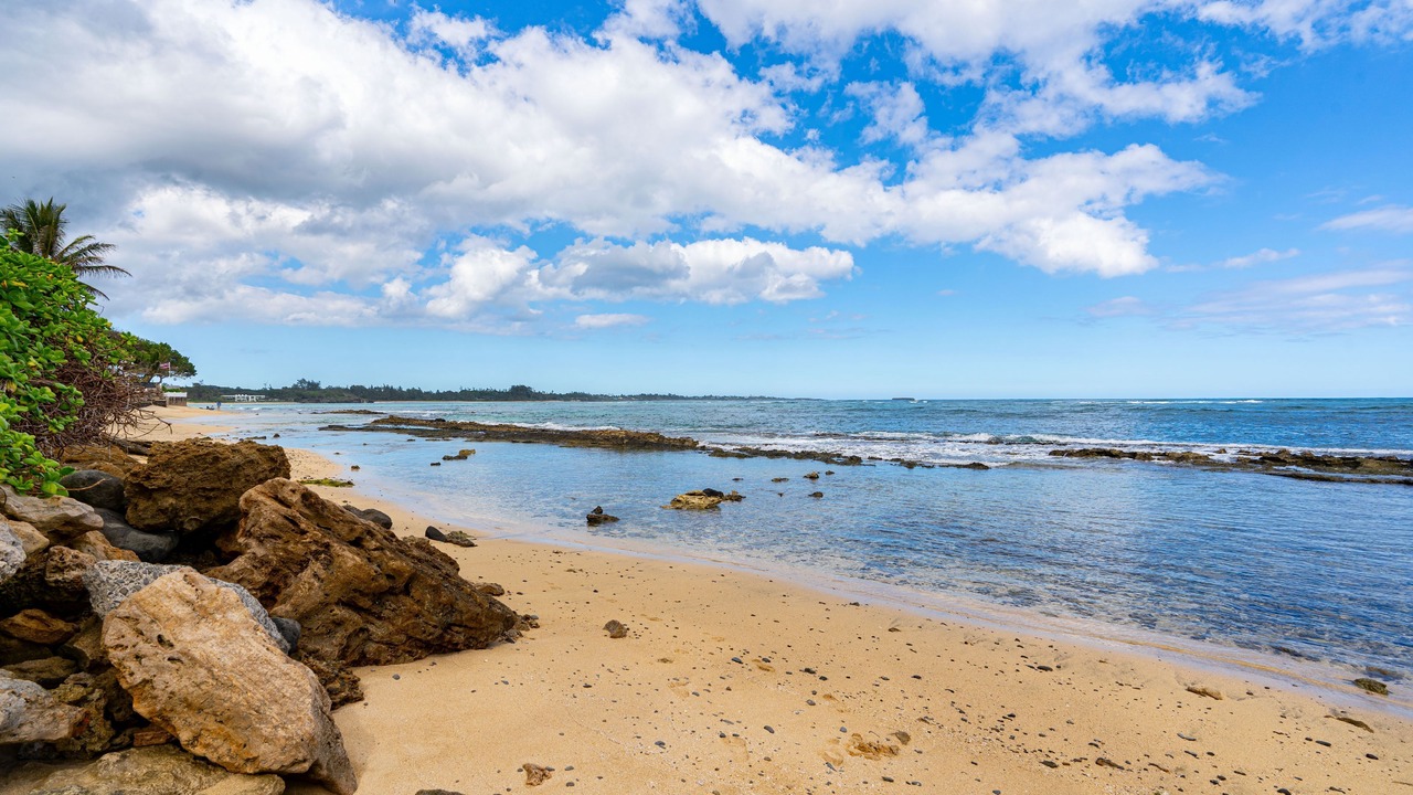 Photo of Others in Hauula