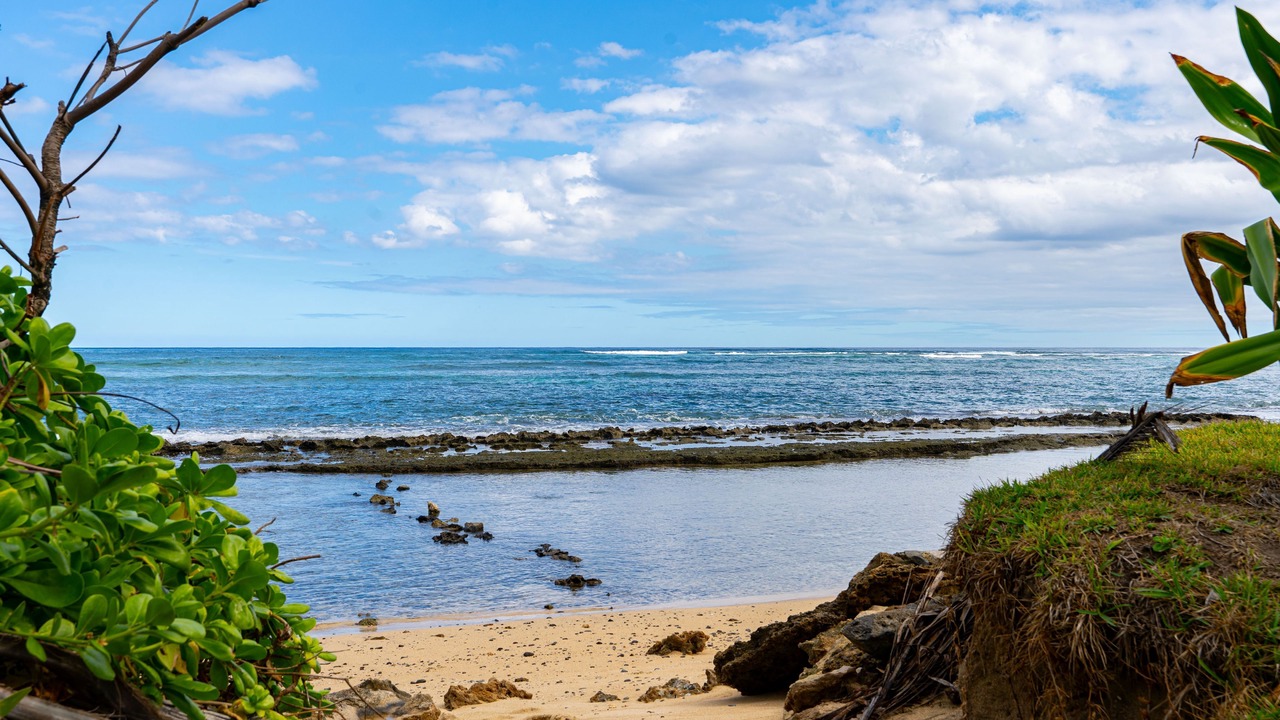 Photo of Others in Hauula