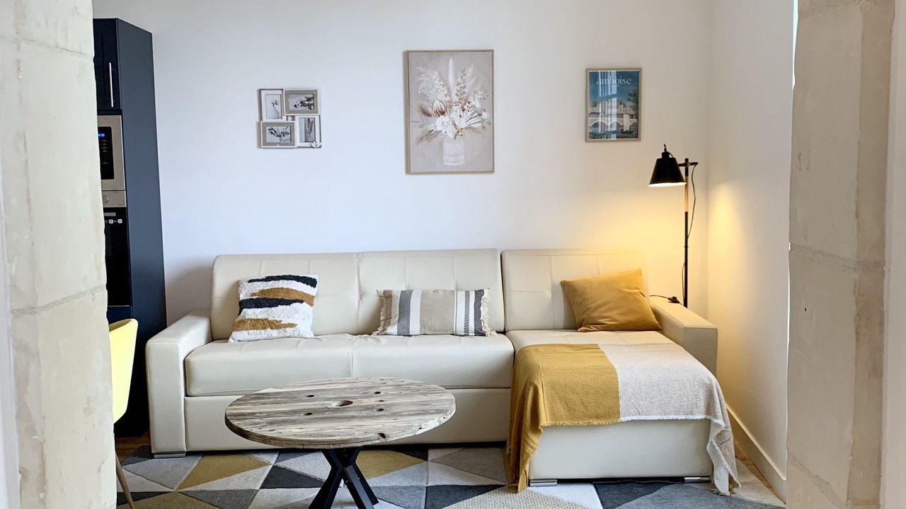 Photo of Livingroom in Amboise