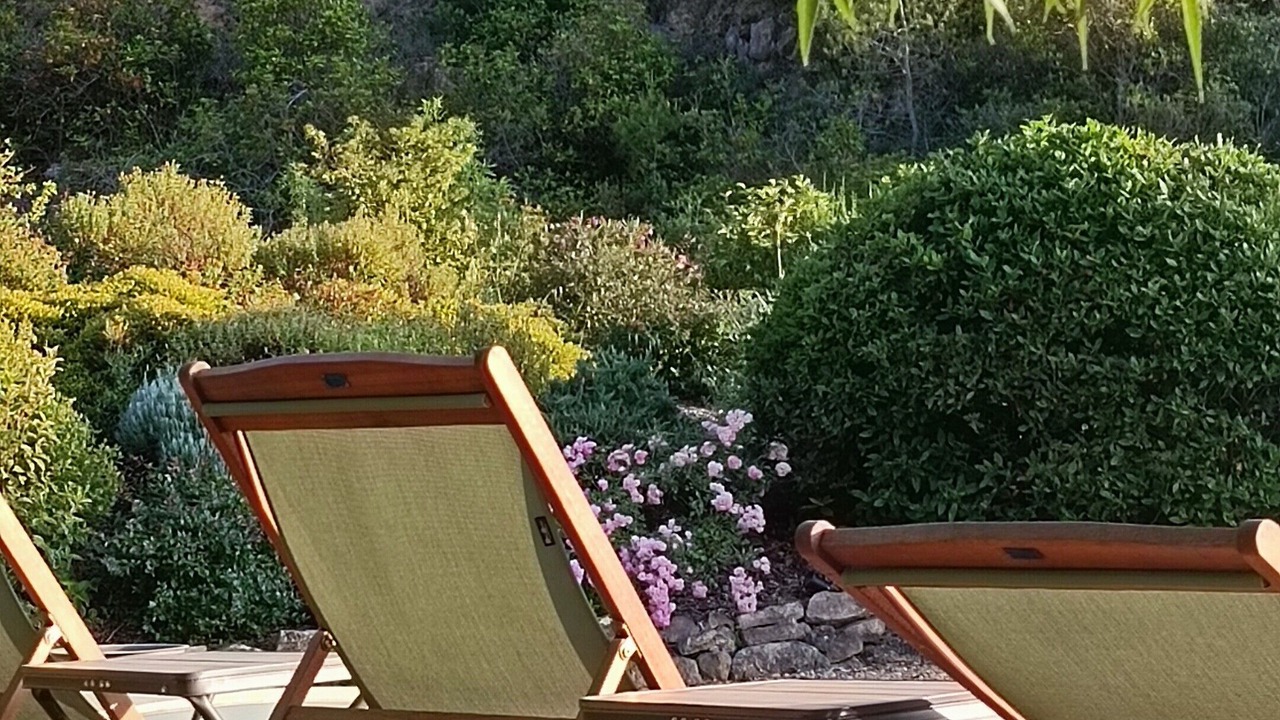 Photo of Outdoor in Saint-Pierre-des-Champs