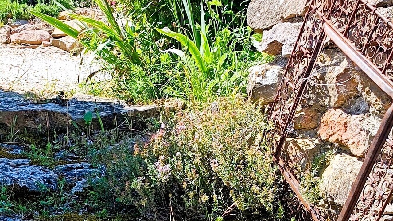 Photo of Outdoor in Saint-Pierre-des-Champs