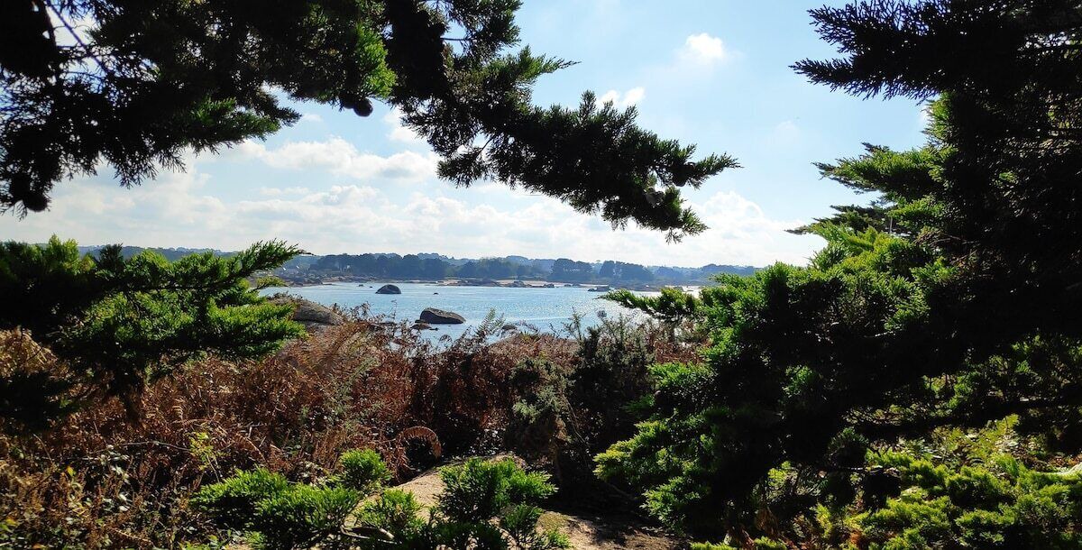 Photo of Others in Lannion