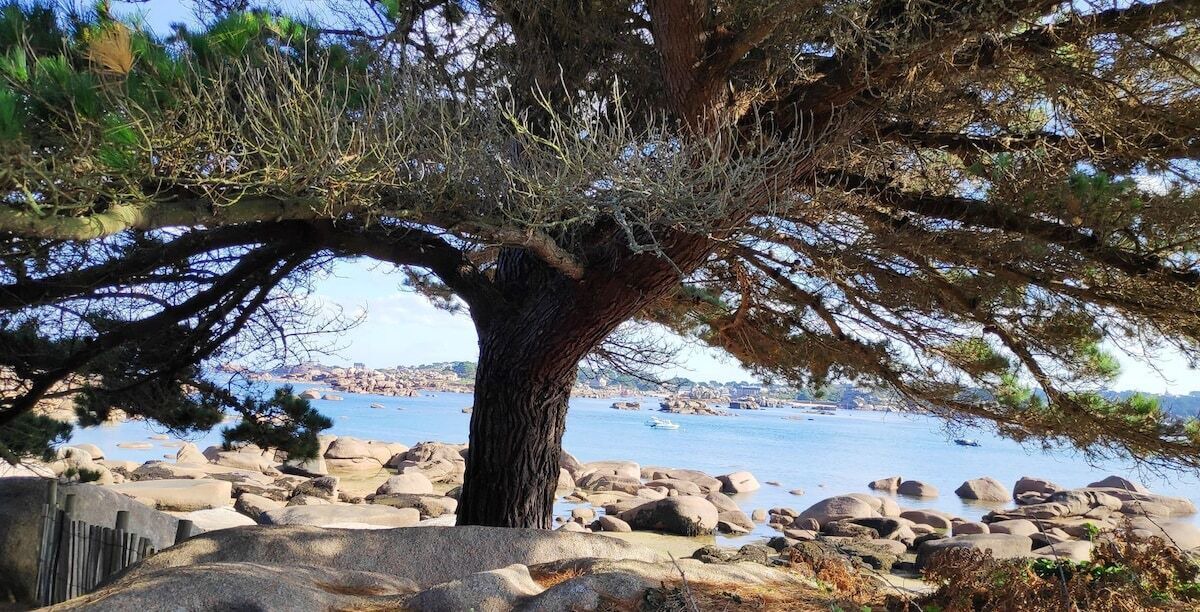 Photo of Others in Lannion