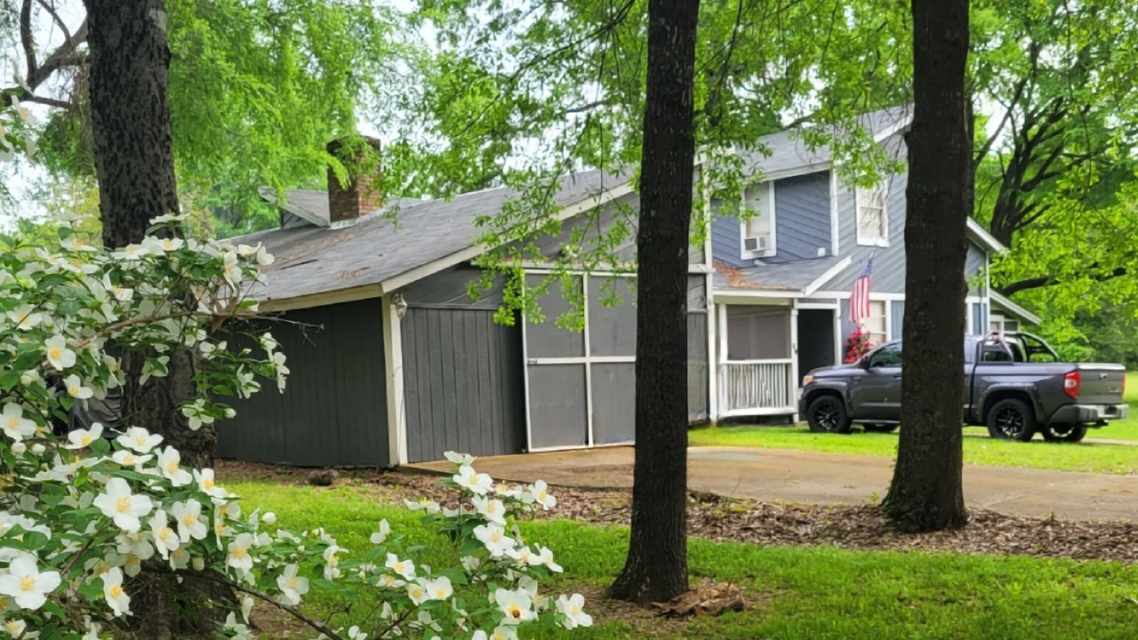 Photo of Outdoor in Dogwood