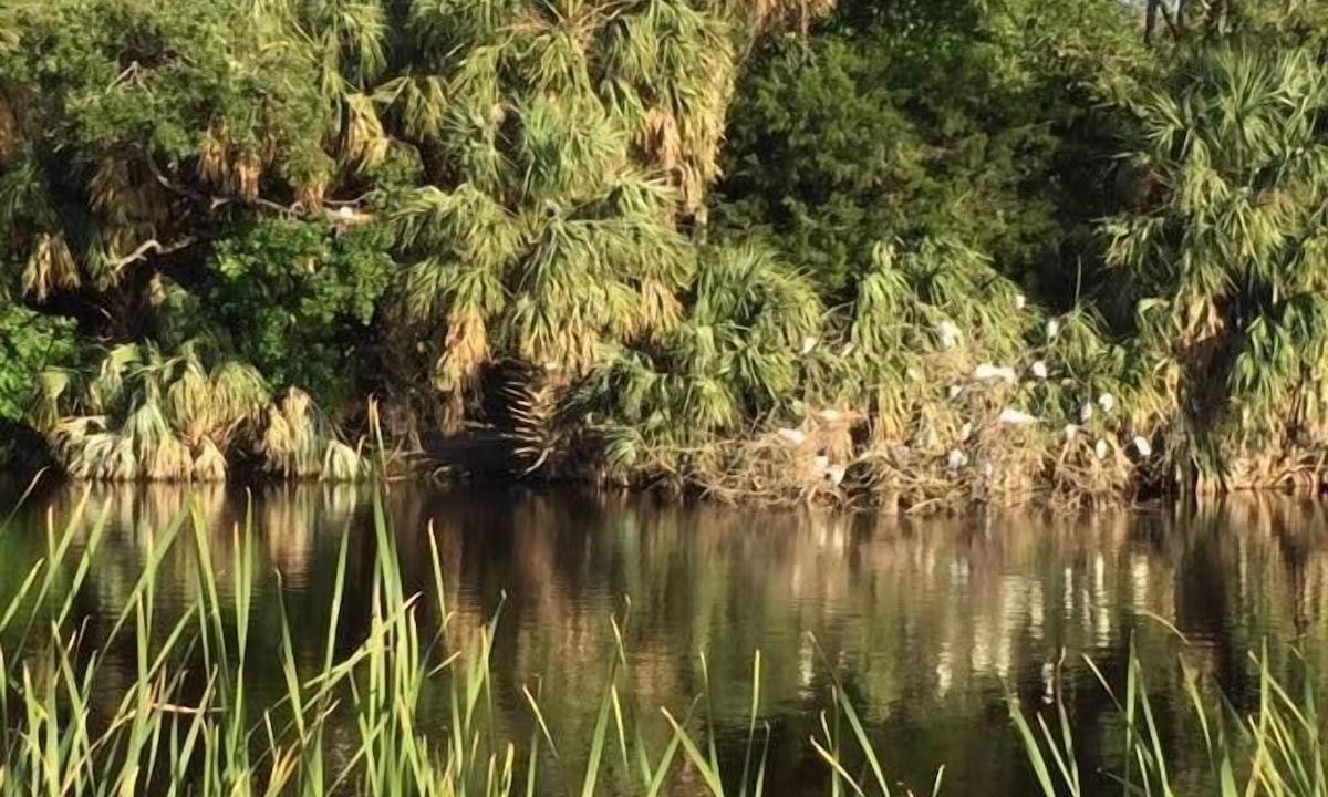 Photo of Outdoor in Bonito Boathouses