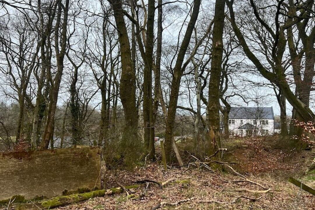 Photo of Others in Ayr