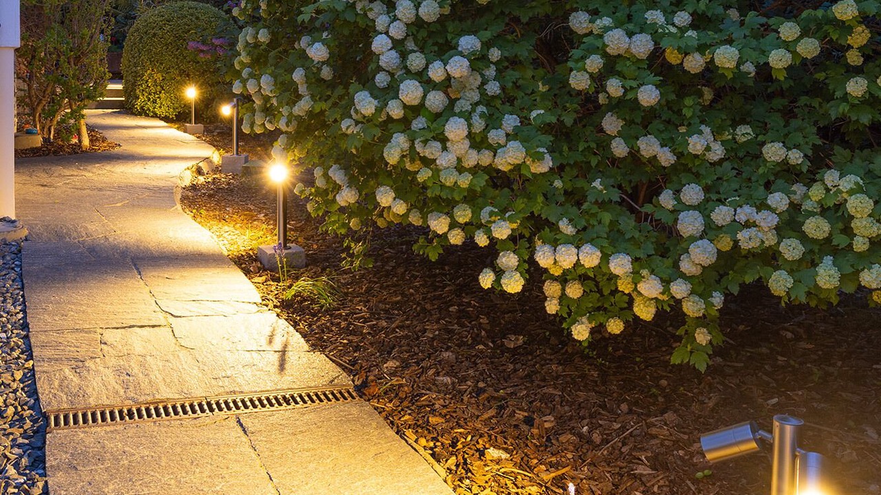 Photo of Outdoor in Saint-Louis