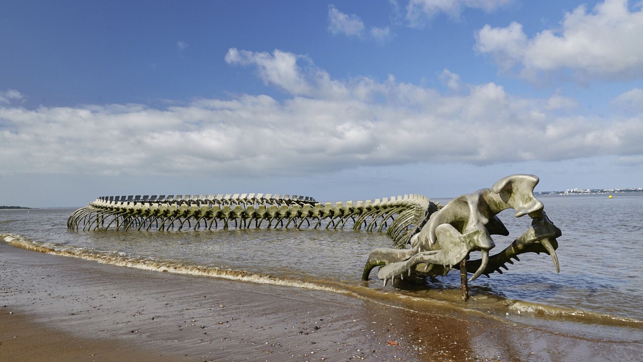 Photo of Others in Saint-Brevin-les-Pins
