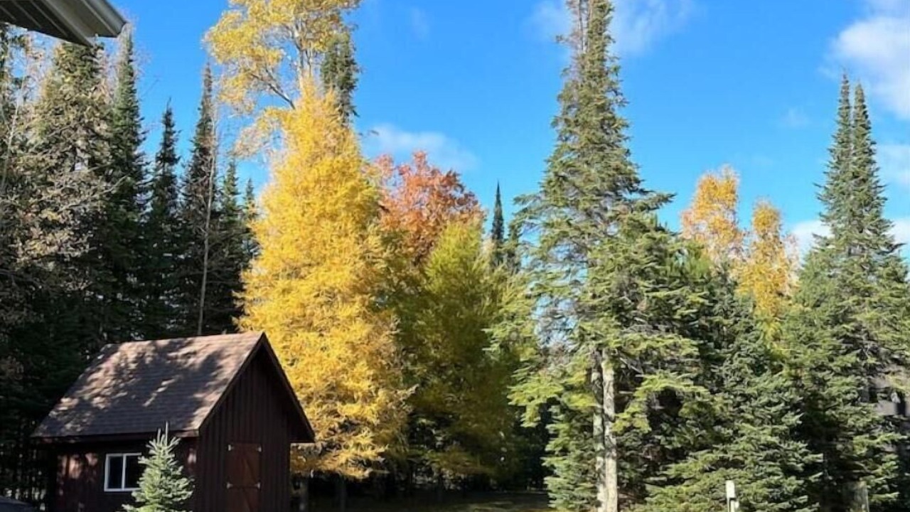Photo of Outdoor in Neebing