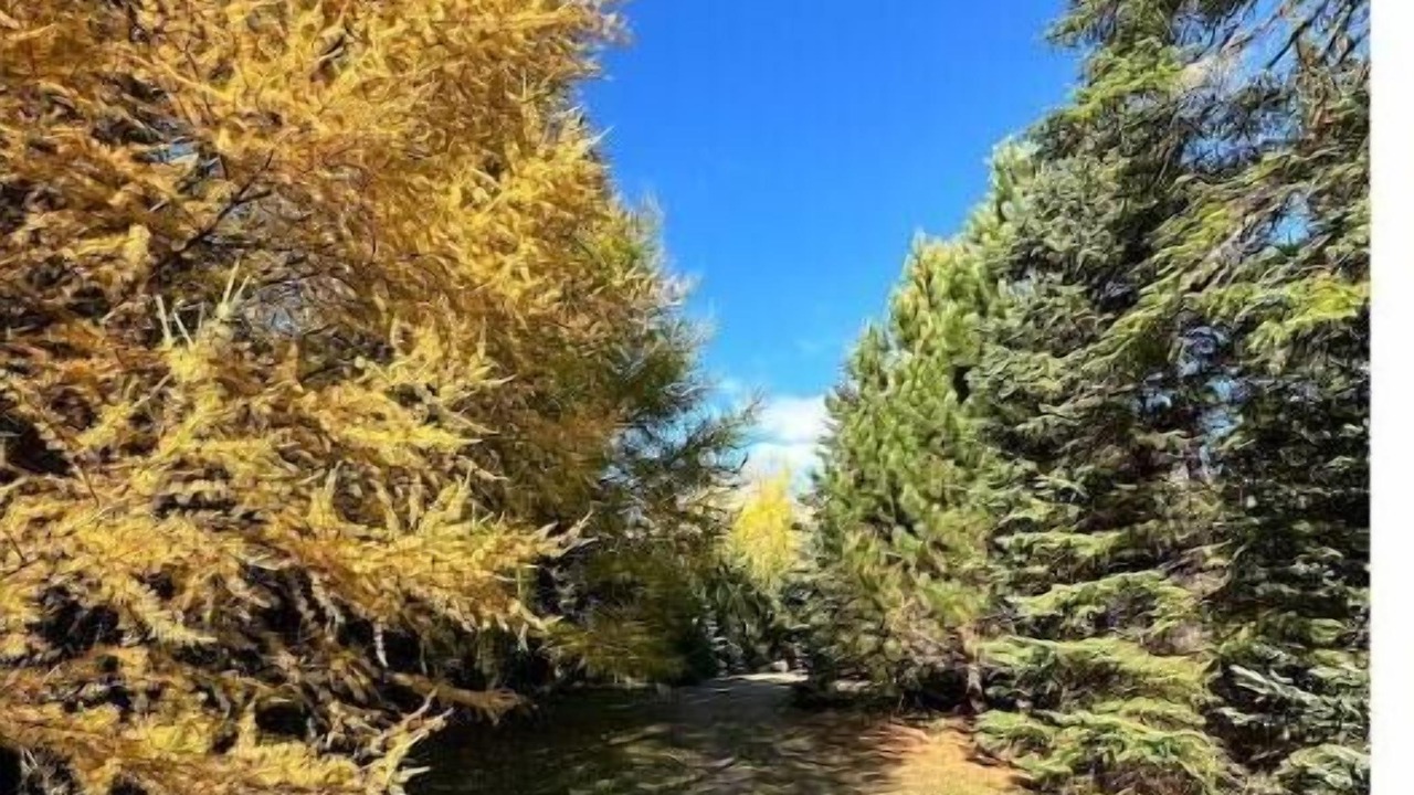Photo of Outdoor in Neebing
