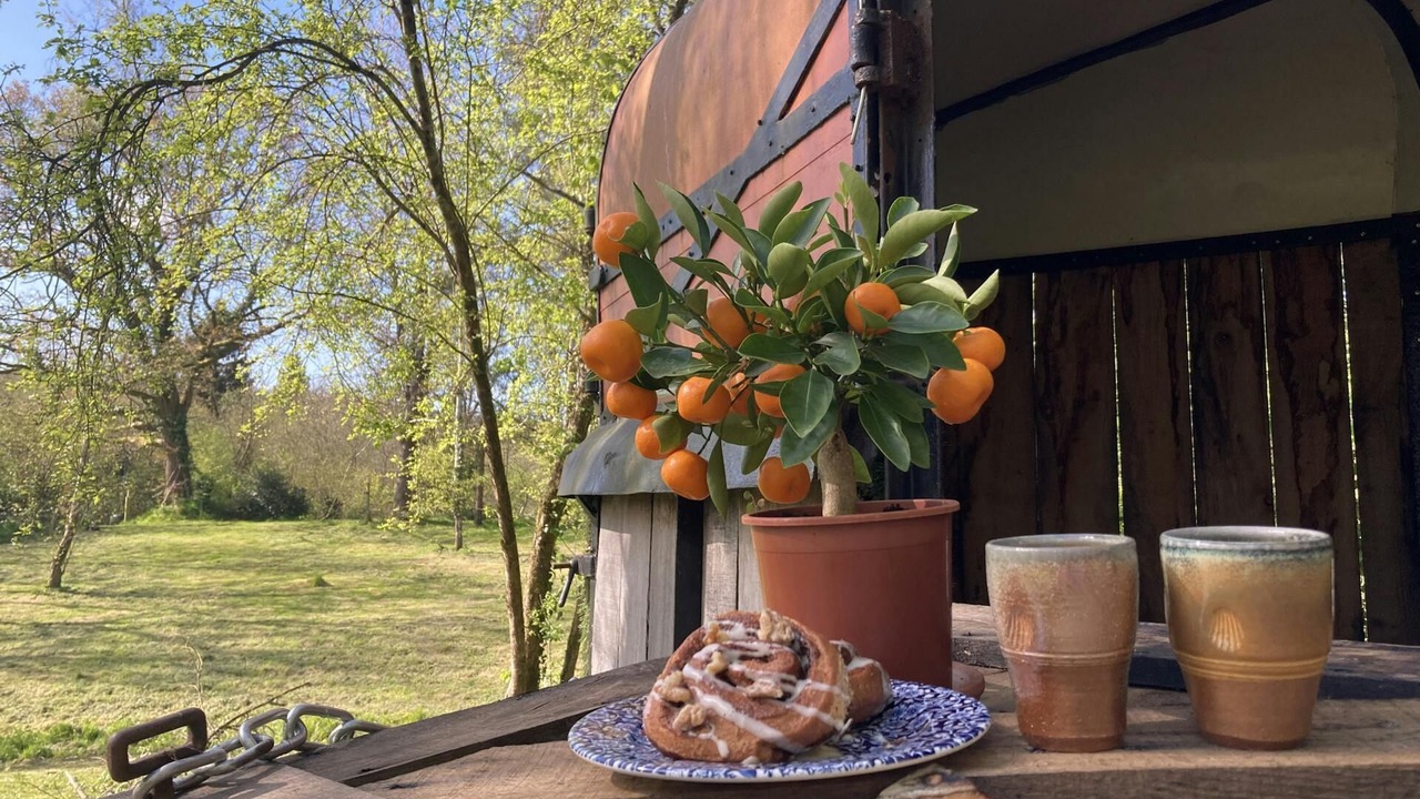 Photo of Outdoor in Newcastle Emlyn