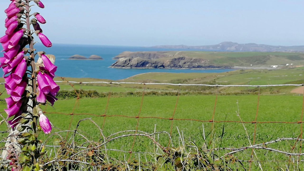 Photo of Others in St Brides