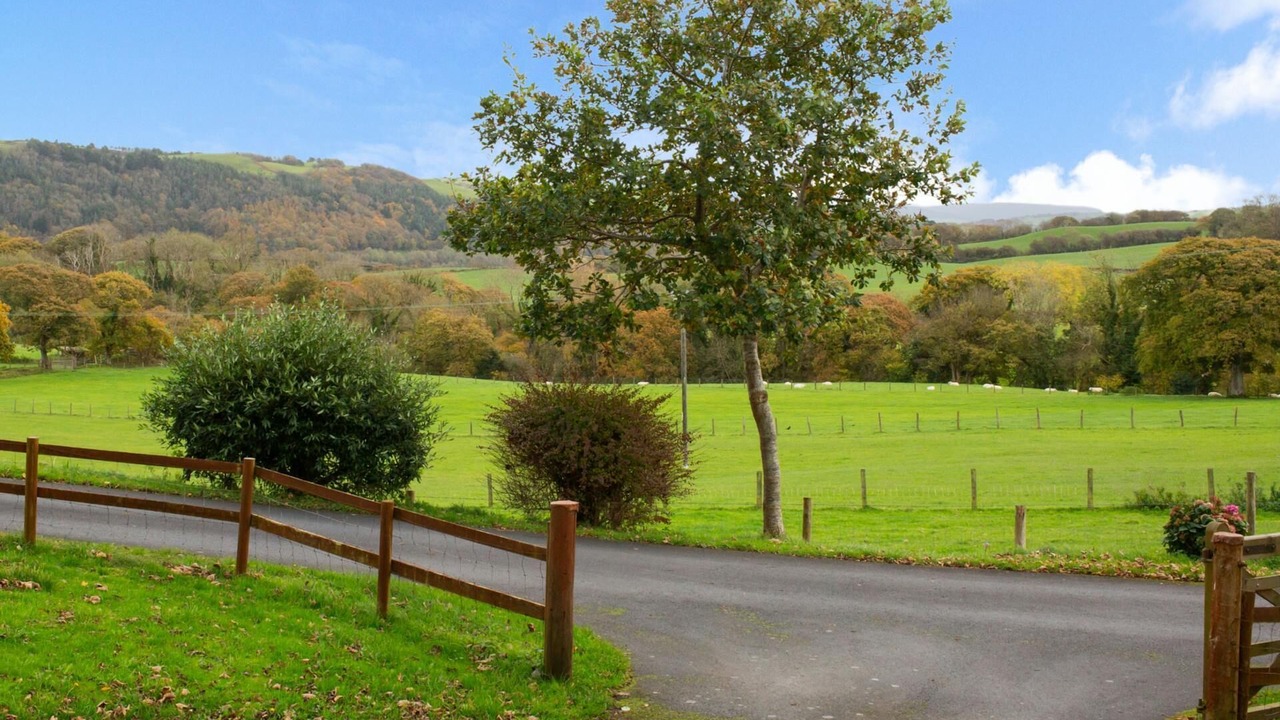 Photo of Others in Chancery