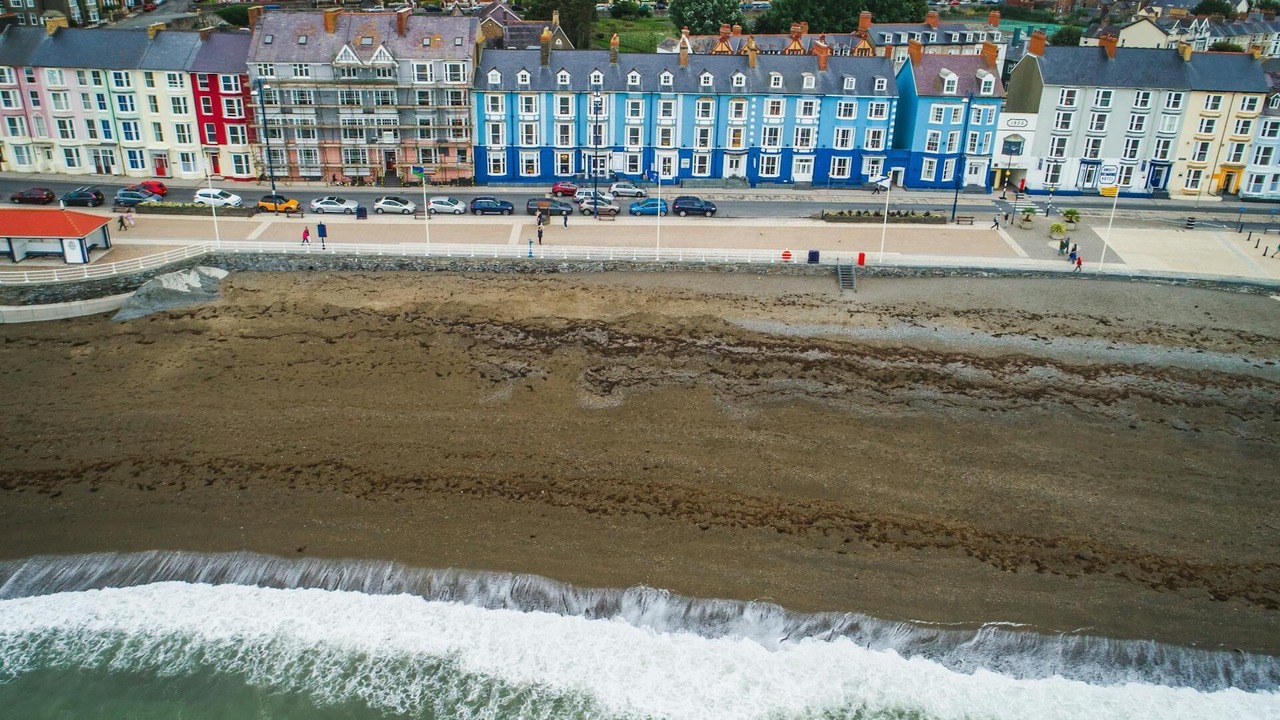 Photo of Others in Chancery