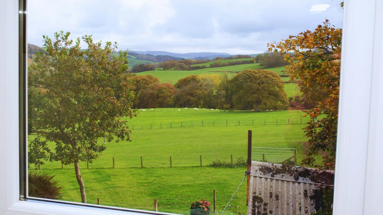 Photo of Others in Chancery