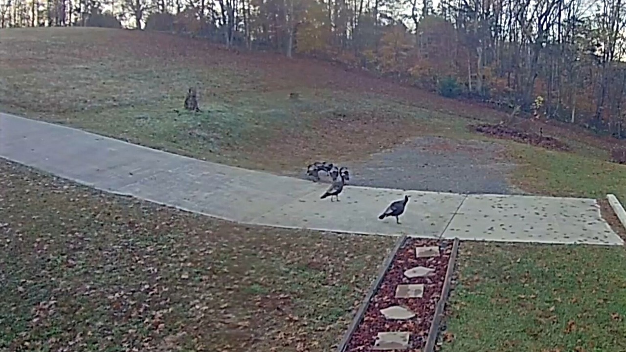 Photo of Others in Lucas