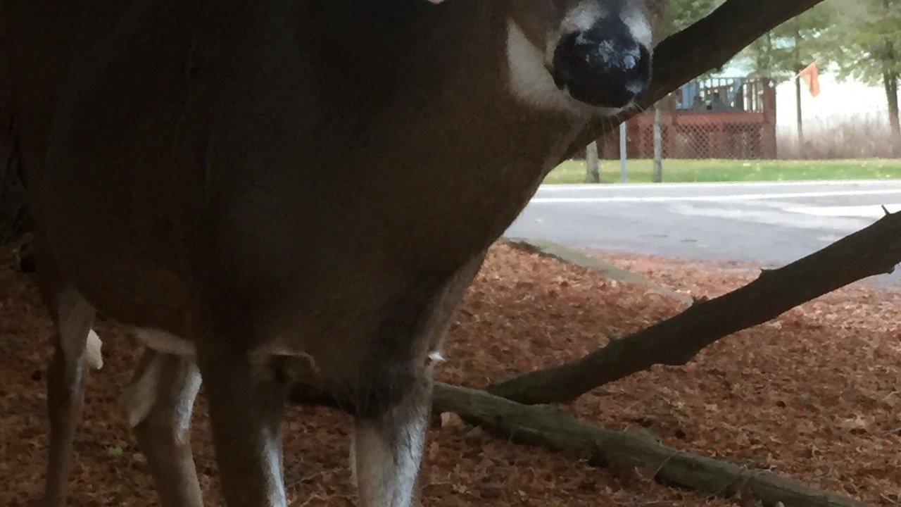 Photo of Others in Town of Webb