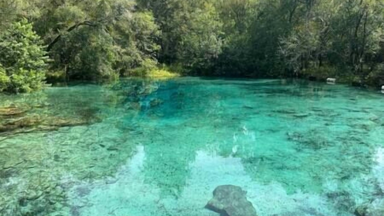 Photo of Others in Lake City