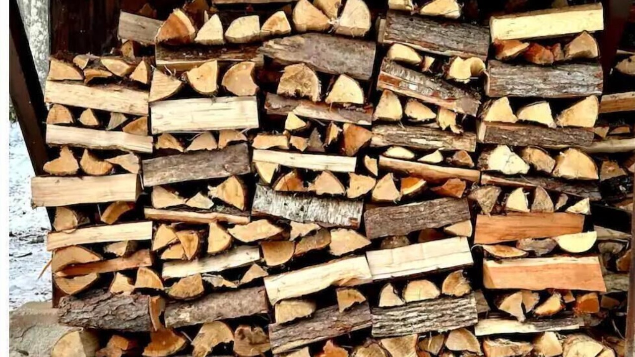 Photo of Others in Big Indian