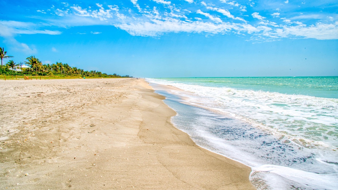 Photo of Others in Captiva