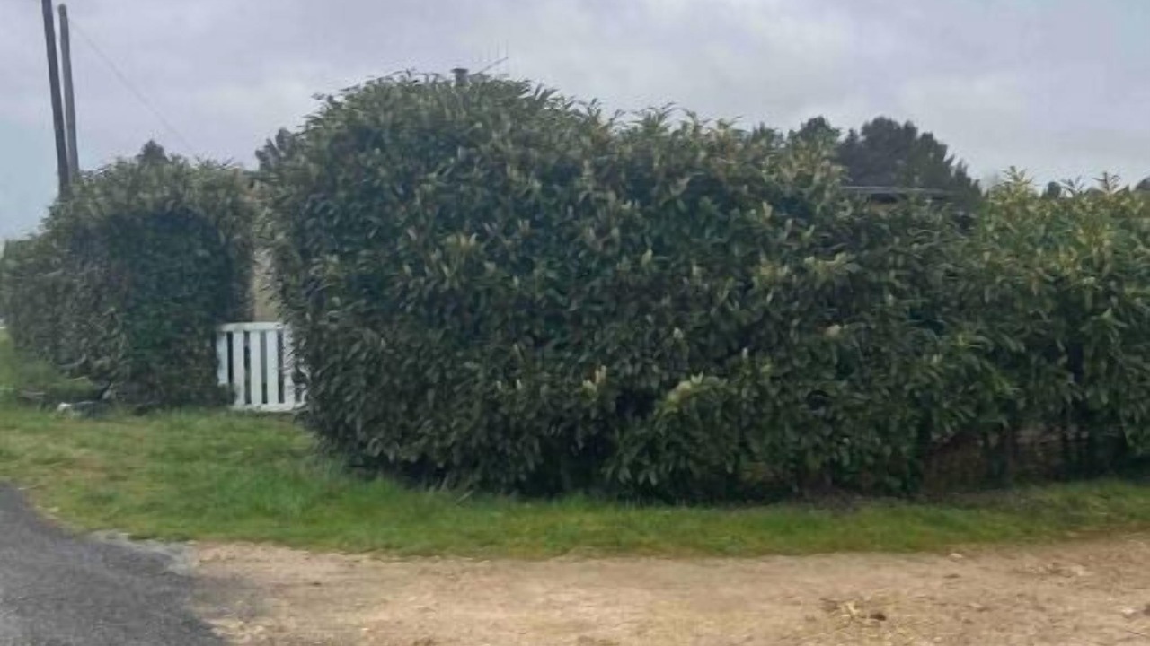 Photo of Outdoor in Francueil