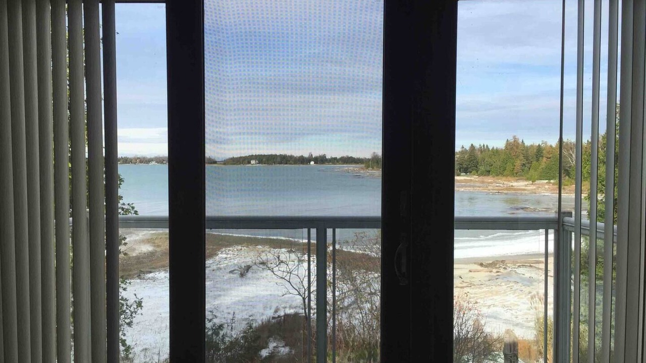 Photo of Others in South Bruce Peninsula