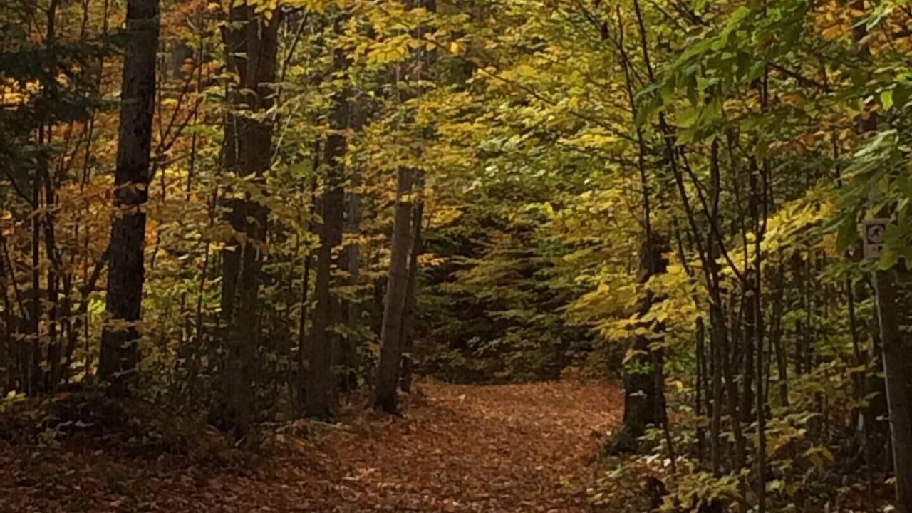 Photo of Outdoor in South Bruce Peninsula