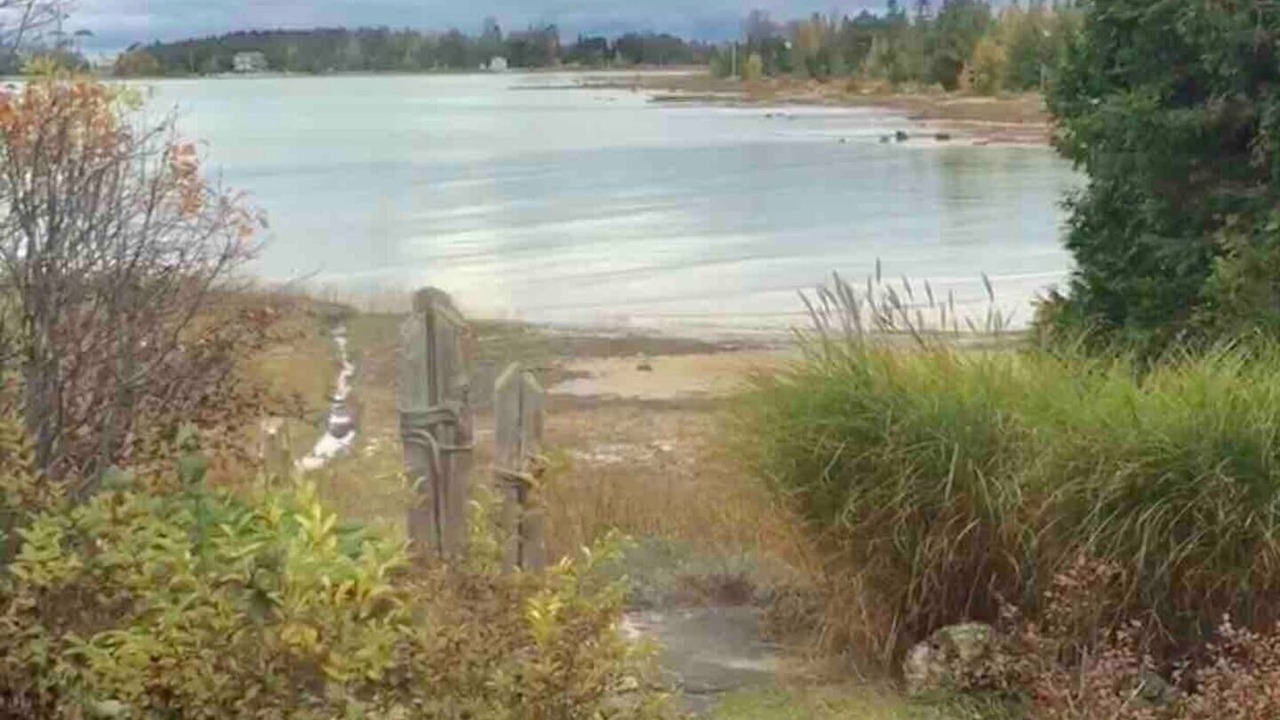 Photo of Others in South Bruce Peninsula