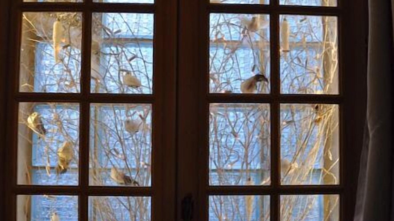 Photo of Others in Uzes