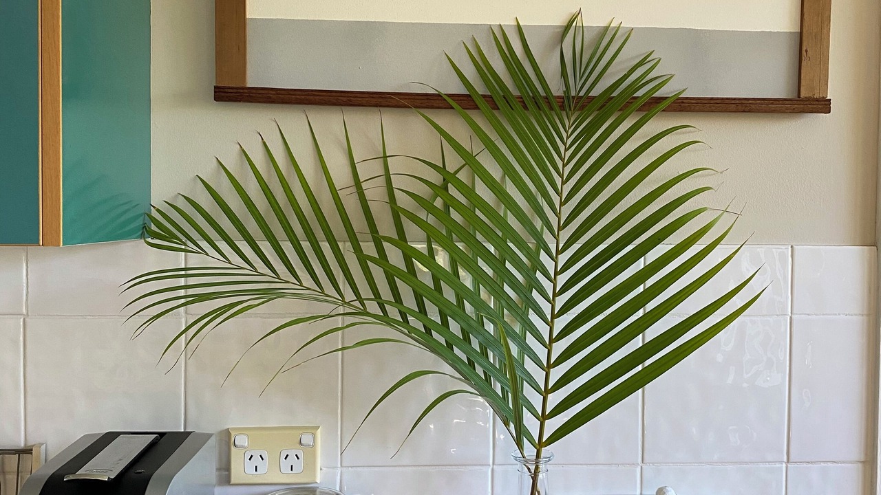 Photo of Others in Forresters Beach