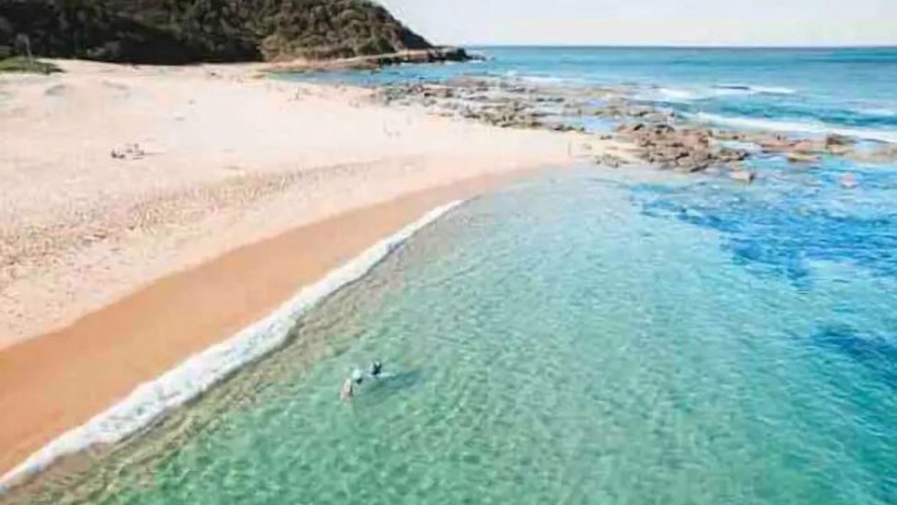 Photo of Others in Forresters Beach