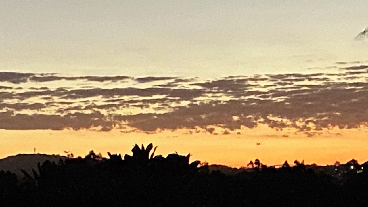 Photo of Others in Forresters Beach