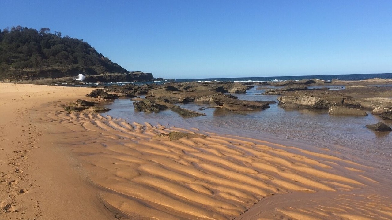 Photo of Others in Forresters Beach