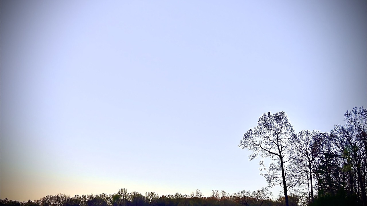 Photo of Others in Yellville