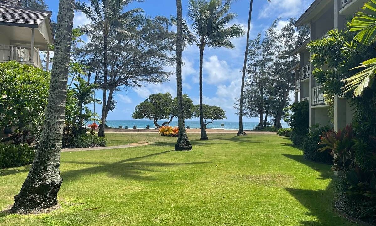 Photo of Outdoor in Wailua